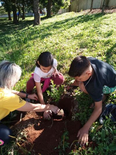 UFFS e Escola Agua Verde realizam plantio de árvores através projeto Ponto De Cultura